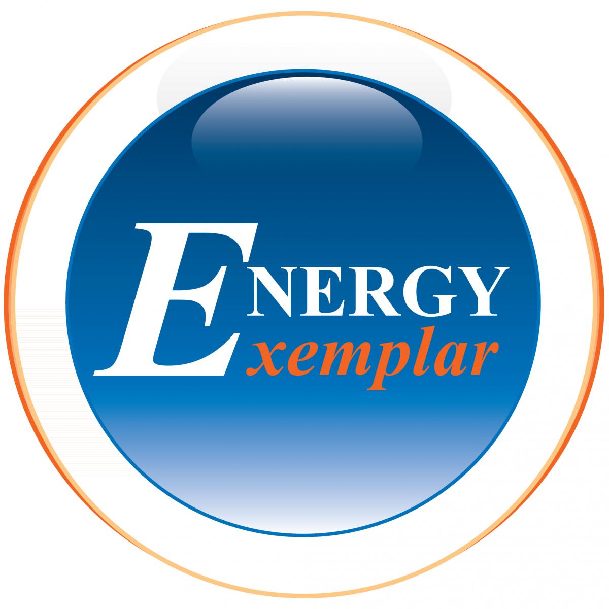 Energy Exemplar at Eastern Australia's Energy Markets Outlook 2013 Conference Sydney